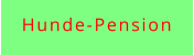Hunde-Pension