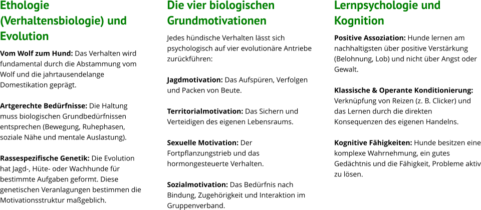Ethologie (Verhaltensbiologie) und Evolution Vom Wolf zum Hund: Das Verhalten wird fundamental durch die Abstammung vom Wolf und die jahrtausendelange Domestikation geprägt.  Artgerechte Bedürfnisse: Die Haltung muss biologischen Grundbedürfnissen entsprechen (Bewegung, Ruhephasen, soziale Nähe und mentale Auslastung).  Rassespezifische Genetik: Die Evolution hat Jagd-, Hüte- oder Wachhunde für bestimmte Aufgaben geformt. Diese genetischen Veranlagungen bestimmen die Motivationsstruktur maßgeblich.            Die vier biologischen Grundmotivationen Jedes hündische Verhalten lässt sich psychologisch auf vier evolutionäre Antriebe zurückführen:  Jagdmotivation: Das Aufspüren, Verfolgen und Packen von Beute.  Territorialmotivation: Das Sichern und Verteidigen des eigenen Lebensraums.  Sexuelle Motivation: Der Fortpflanzungstrieb und das hormongesteuerte Verhalten.  Sozialmotivation: Das Bedürfnis nach Bindung, Zugehörigkeit und Interaktion im Gruppenverband.            Lernpsychologie und Kognition Positive Assoziation: Hunde lernen am nachhaltigsten über positive Verstärkung (Belohnung, Lob) und nicht über Angst oder Gewalt.  Klassische & Operante Konditionierung: Verknüpfung von Reizen (z. B. Clicker) und das Lernen durch die direkten Konsequenzen des eigenen Handelns.  Kognitive Fähigkeiten: Hunde besitzen eine komplexe Wahrnehmung, ein gutes Gedächtnis und die Fähigkeit, Probleme aktiv zu lösen.